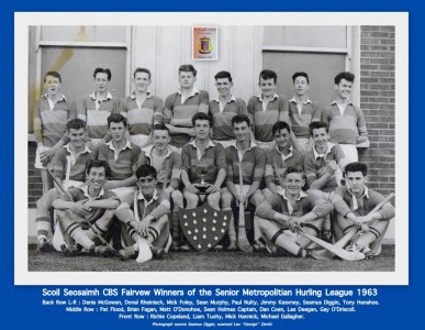 1963 Hurling League